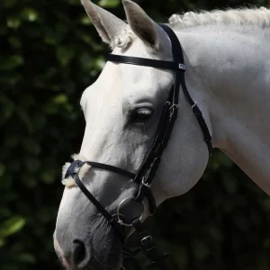EX DISPLAY - Exercise/Racing Bridle with Grackle Black