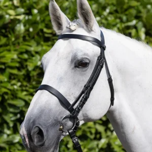 Exercise / Racing Bridle with Cavesson Black