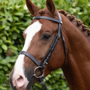 Exercise / Racing Bridle with Cavesson Dark Havana