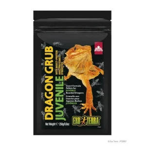 Exo Terra Dragon Grub, Juvenile 8.8oz Pt3267{L+7}