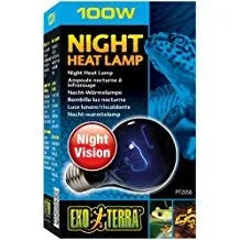 Exo Terra Night Heat Lamp 100w Pt2058{L+7RR} - Image 2