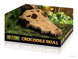 Exo Terra Terrarium Decor, Croc Skull Pt2856{L+7}(DD)