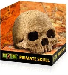 Exo Terra Terrarium Decor, Primate Skull Pt2855{L+7}