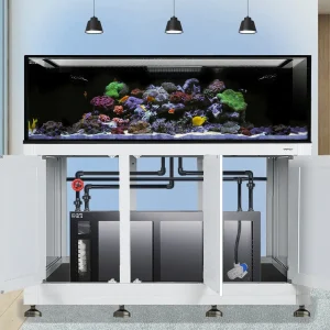 EXT 200 Gallon Complete Reef System - White (Made To Order) - Innovative Marine