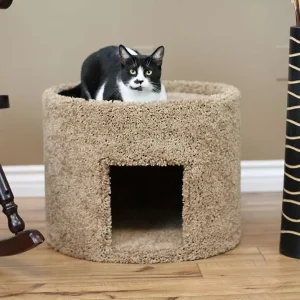 Extra Large Cat House for Large Cats | Solid Wood Indoor Cat House