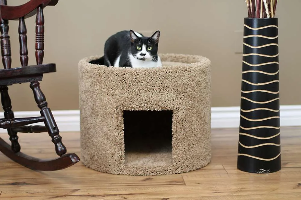 Extra Large Cat House for Large Cats | Solid Wood Indoor Cat House