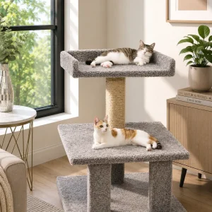 Extra Large Cat Perch for Big Cats (20+ lbs)