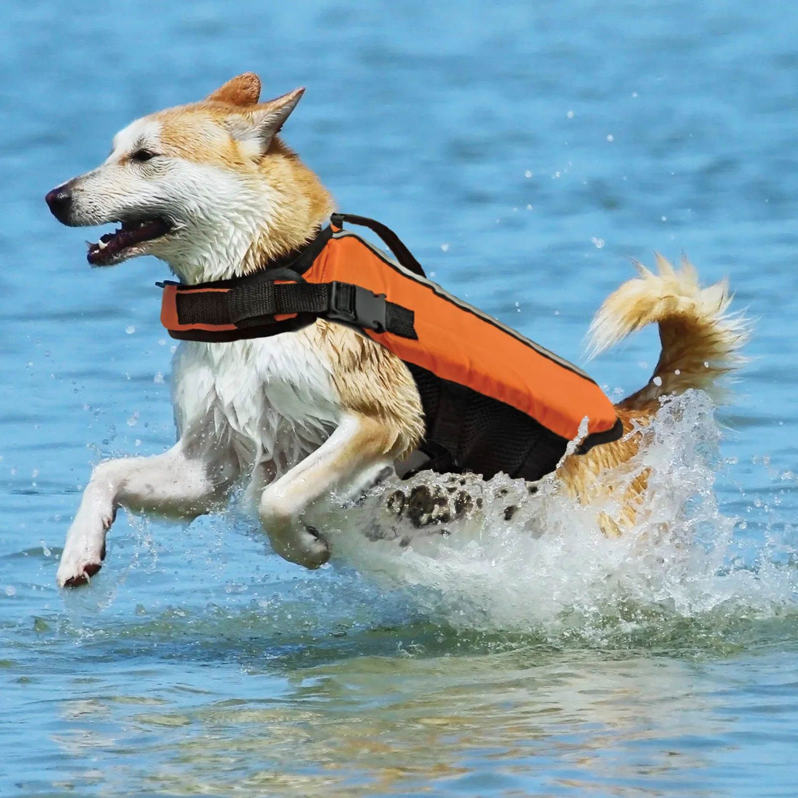 Fashion Pet Life Vest, Orange - Image 2
