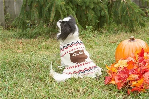 Fashion Pet Owl Sweater - Cream Dog Knit Sweater, Small