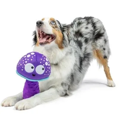 Fetchies® Mellow Mushroom Dog Toy Large - Image 2