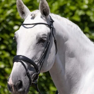 Finetti Anatomical Rolled Leather Snaffle Bridle with Flash Black