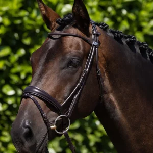 Finetti Anatomical Rolled Leather Snaffle Bridle with Flash Brown