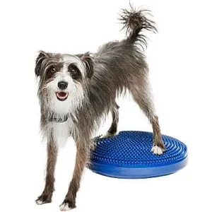 FitPAWS Balance Disc