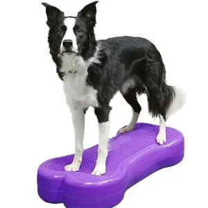 FitPAWS Giant K9FITbone Balance Bone