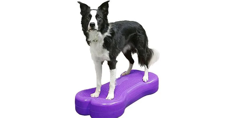 Clean Run FitPAWS K9FITbone Balance Platform - Giant
