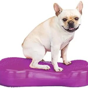 FitPAWS K9FITbone Balance Bone