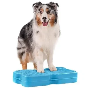 FitPAWS Mini K9FITbone Balance Bones