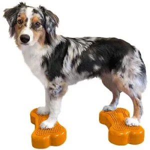FitPAWS Mini K9FITbone Balance Bones