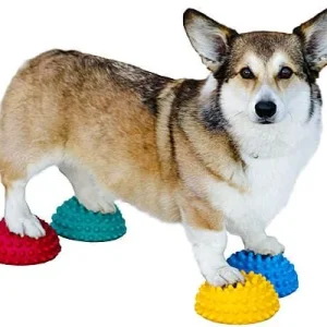 Clean Run FitPAWS Paw Pods - Set of 4