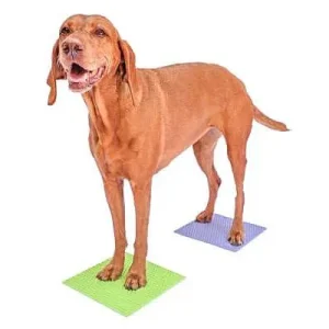 FITPaws TRAX Targets