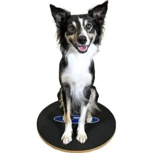 Clean Run FitPAWS Wobble Board - 20 in.