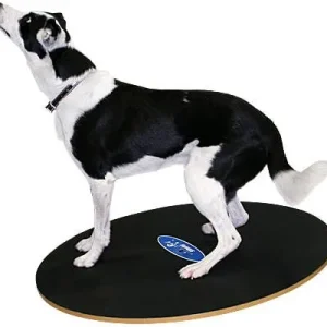 Clean Run FitPAWS Wobble Board - 36 in.