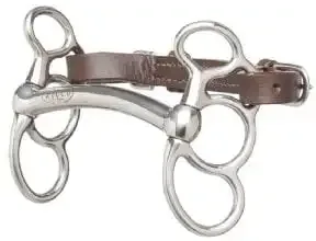 Fixed Ring Gags