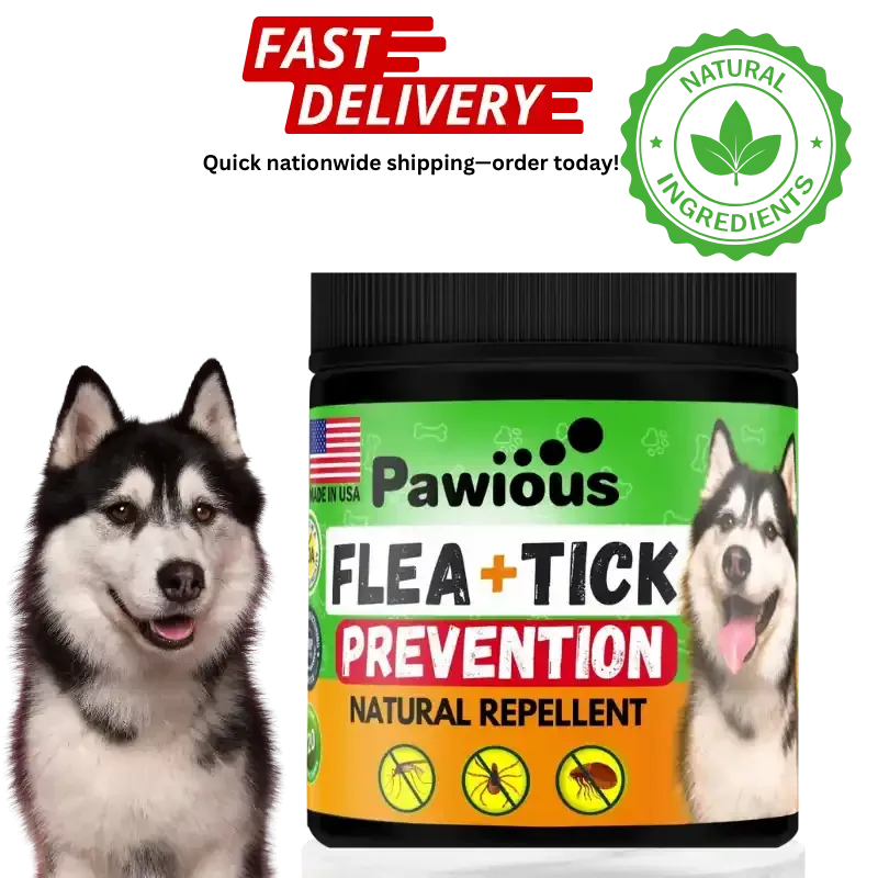 Flea and Tick Prevention for Dogs Chewables Natural Dog Flea and