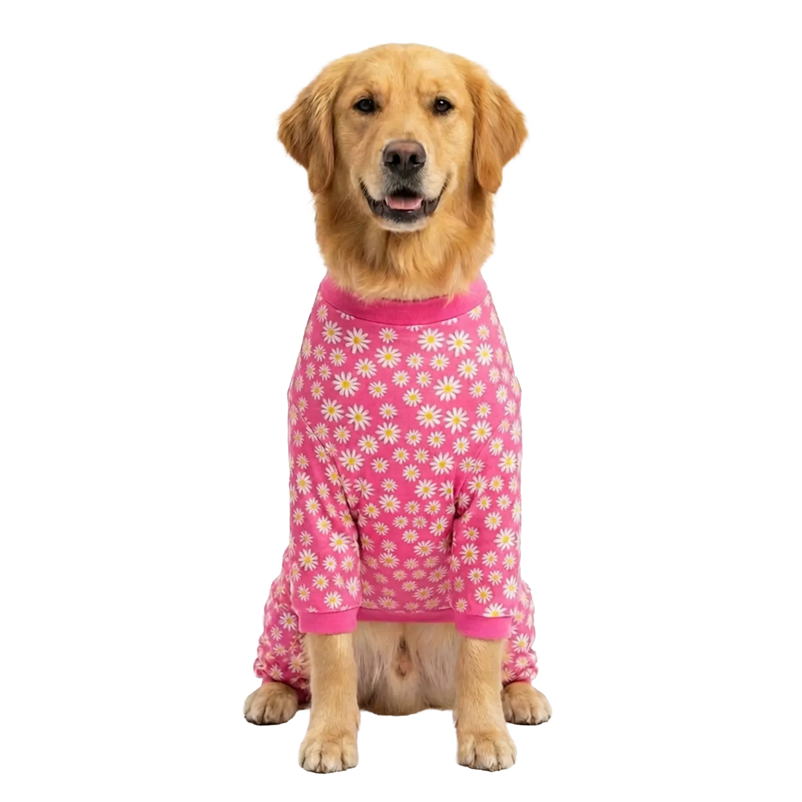 FLORAL DOG PAJAMA