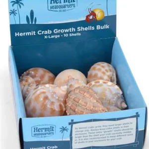 Fluker's Hermit Crab Growth Shells Display Assorted 10pk XL