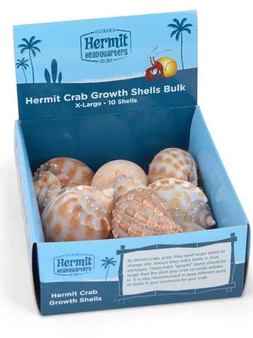 Fluker's Hermit Crab Growth Shells Display Assorted 10pk XL - Image 2