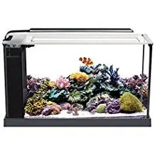 Fluval Evo V Marine Aquarium Kit 10528 - Image 2