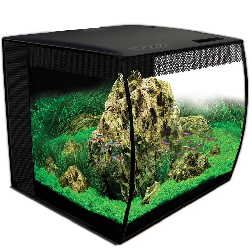Fluval FLEX Aquarium Kit, 15 Gallon Black - Image 2