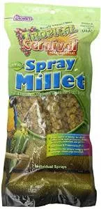 FM Brown Tropical Carnival Natural Millet Spray 7ct {L+1} 423172 - Image 2