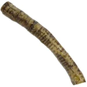 Fog City Pet 12" Beef Trachea Dog Chew Treat