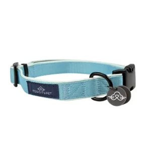 Fog City Pet Light Blue Daily Wear Dog Collar