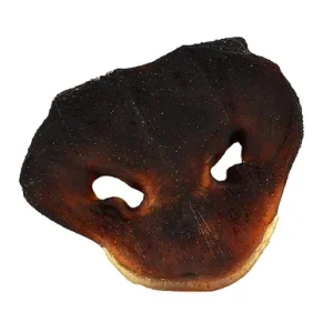 Fog City Pet Pig Snout Dog Chew Treat