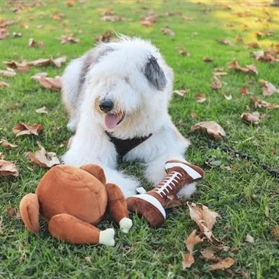 Football Bone Dog Toy-Small - Image 2