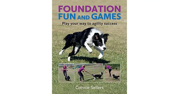 Foundation Fun and Games - Play Your Way to Agility Success