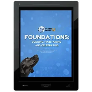 Clean Run Foundations: Building, Maintaining and Celebrating E-Book
