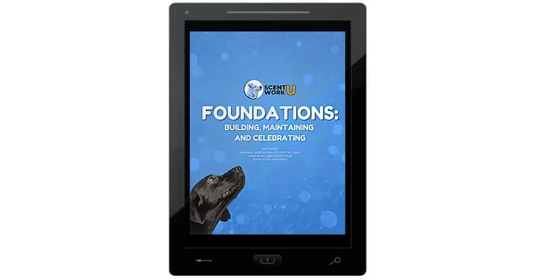 Foundations: Building, Maintaining and Celebrating E