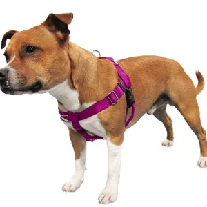 Clean Run Freedom No-Pull Dog Harness