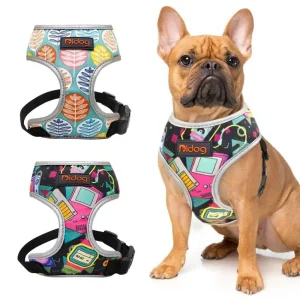 French Bulldog Harness