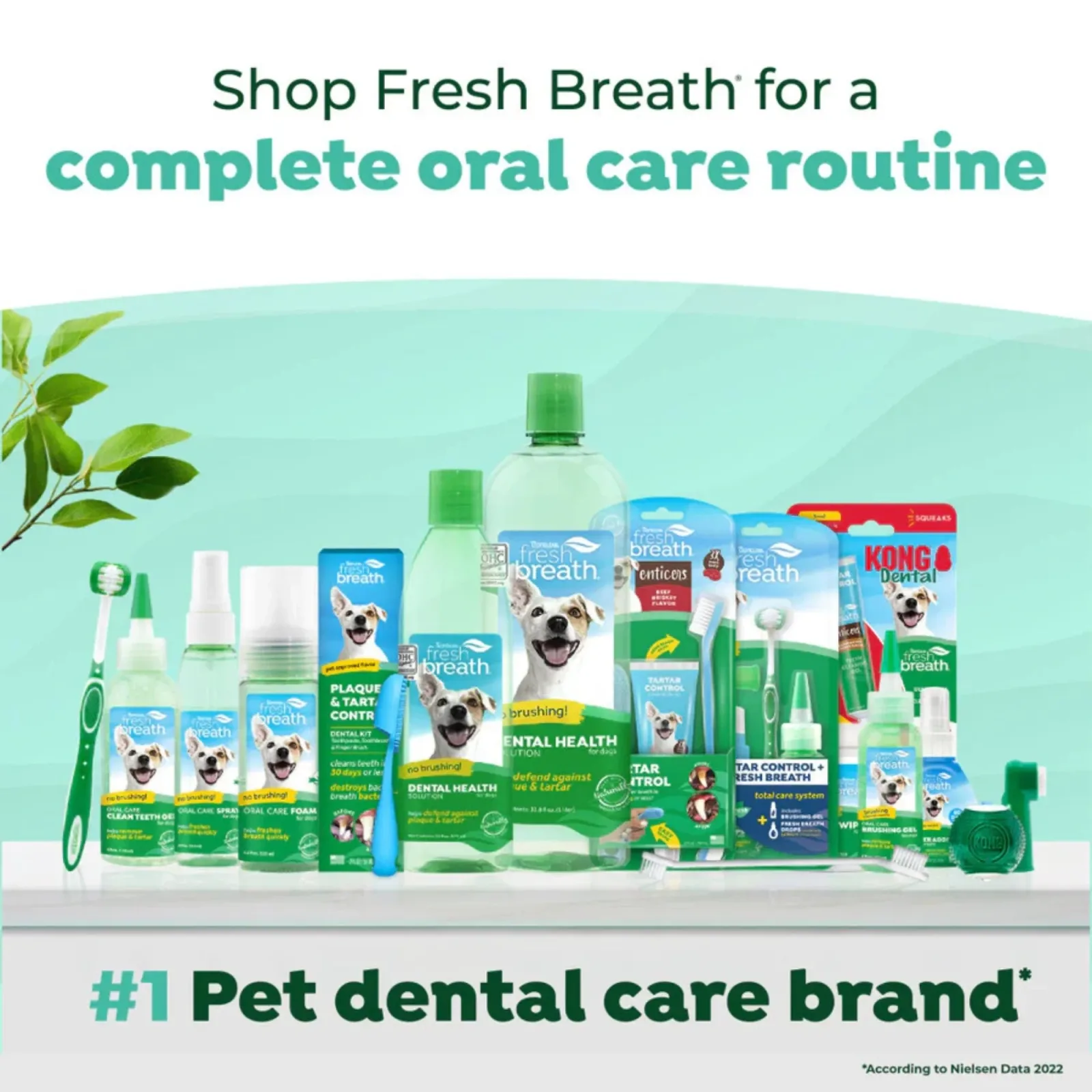 Fresh Breath By Tropiclean Dog Enticers Kit Brisket 2 oz - Image 2