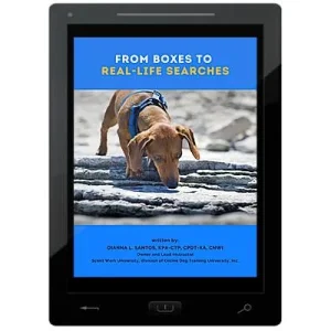 Clean Run From Boxes to Real-Life Searches E-Book