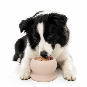 Frozen Fillable Dog Chew Toy