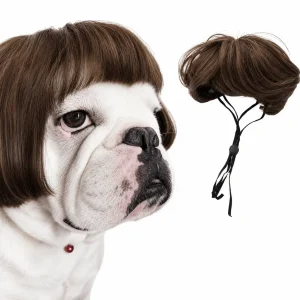 Funny Dog Wig for Cats & Dogs