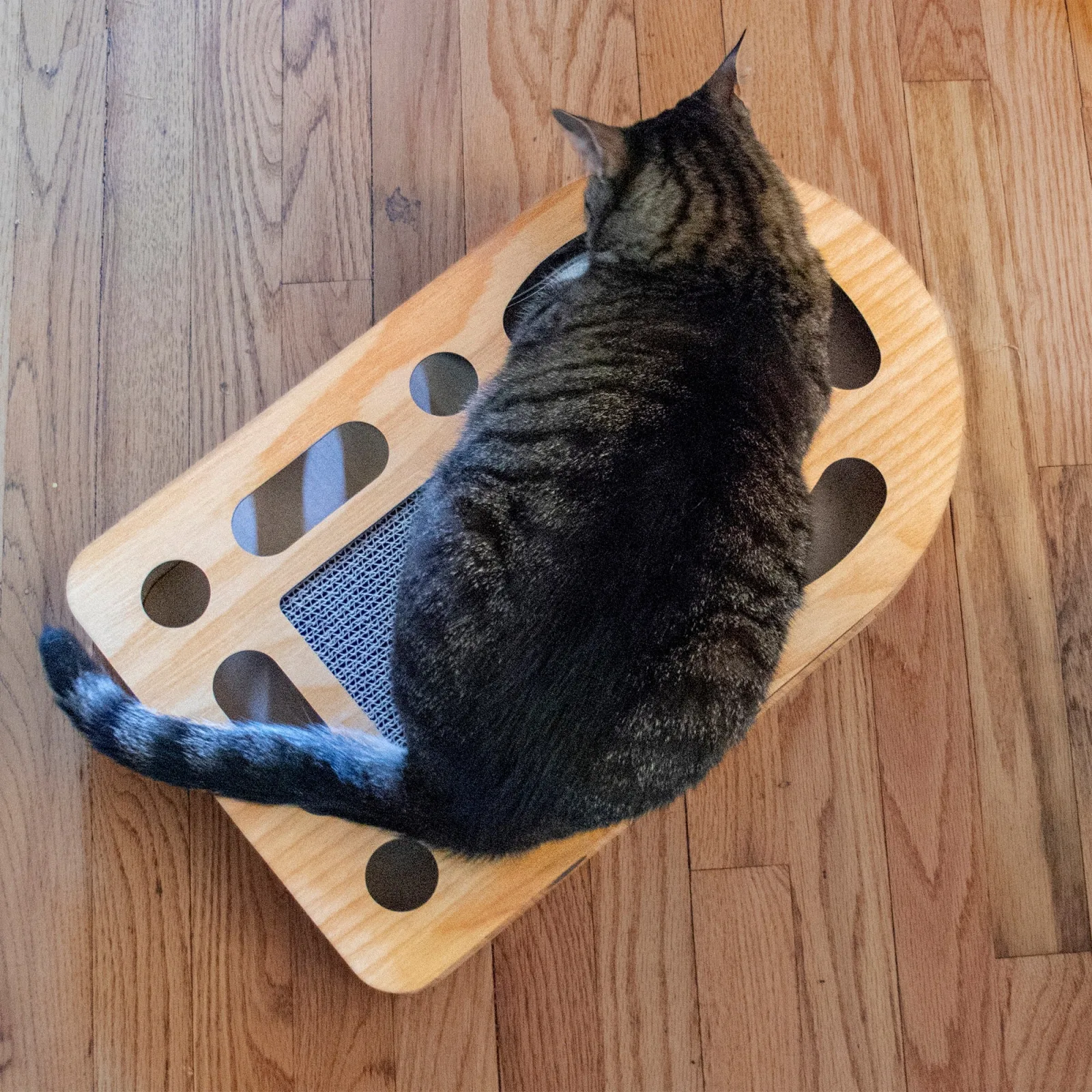 FurHaven Busy Box Corrugated Cat Scratcher with Catnip - Archway - Image 2