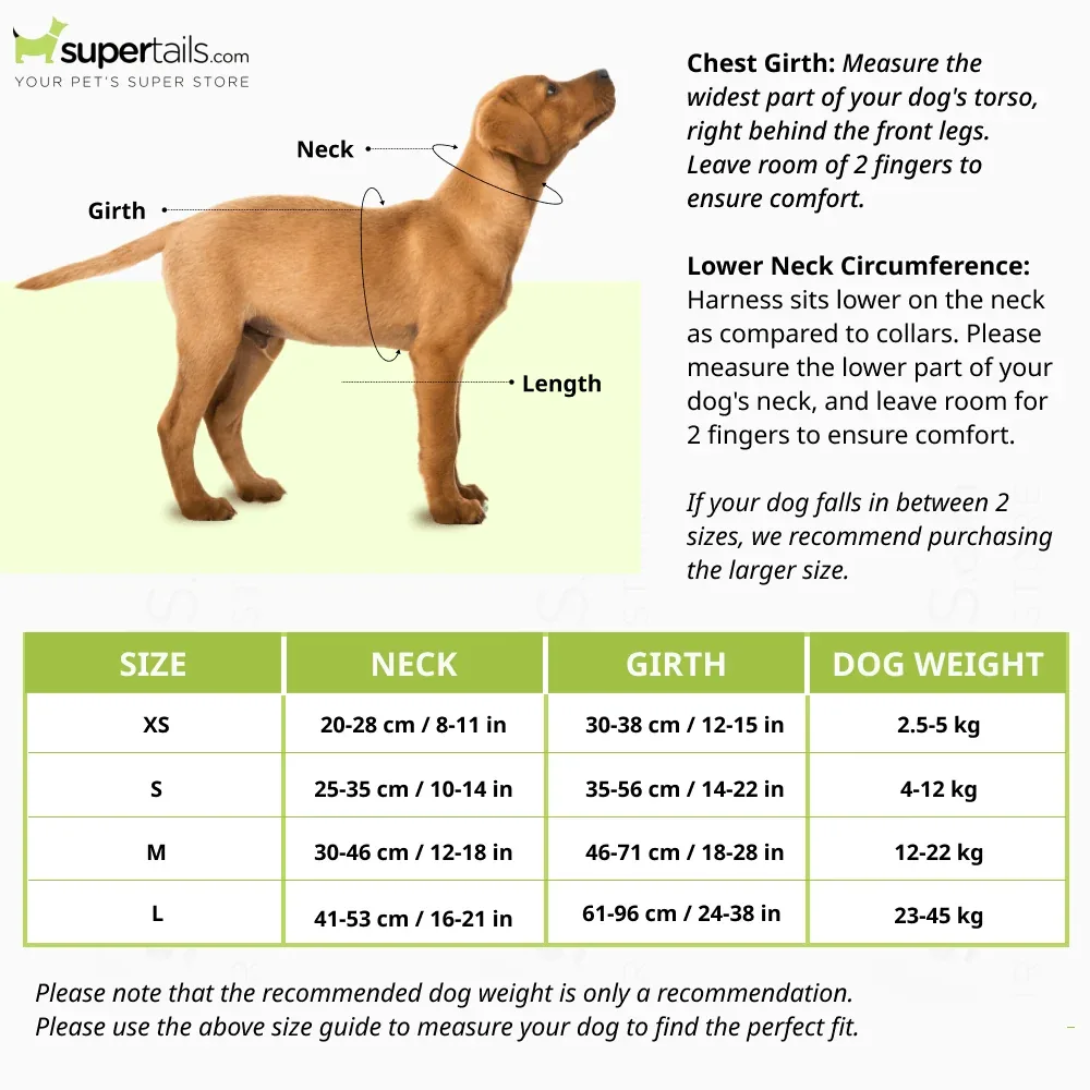 Furry & Co Bold Harness for Dogs (Matcha Latte) - Image 2