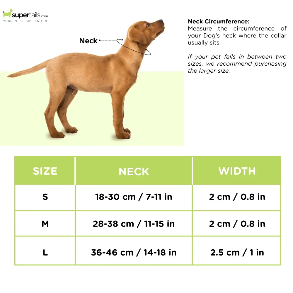 Furry & Co Weatherproof Collar for Dogs (Matcha Latte) - Image 2